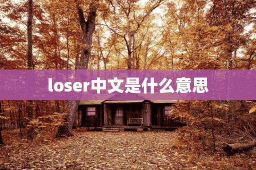 loser中文是什么意思